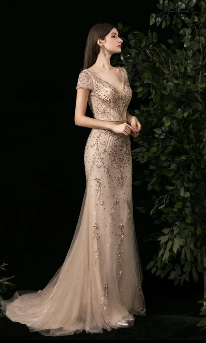 Evening Dress NO.33